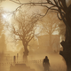 Assassin’s Creed Unity